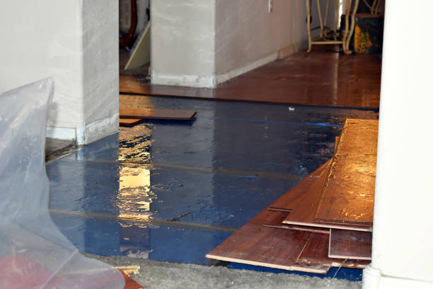 Professional Sewage Cleanup technician working in Ottine, TX